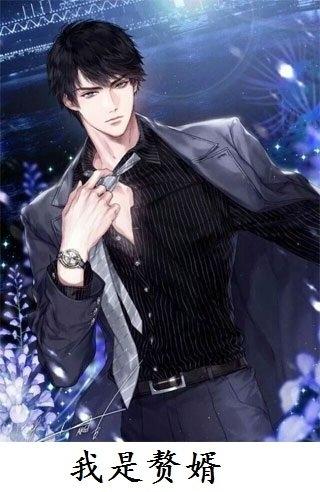 书名赘婿当道