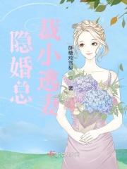 隐婚总裁宠妻
