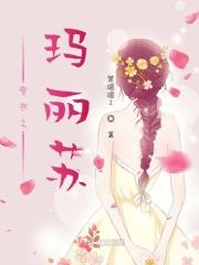 玛丽苏穿书指南