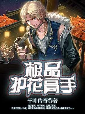 极品护花使者