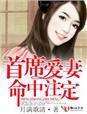 首席爱妻天注定免费