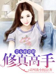 美女校花的修真高手TXT奇书网