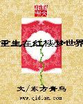 重生到红楼梦的