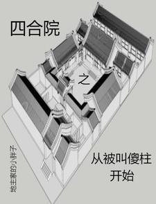 四合院从成傻柱他爹开始