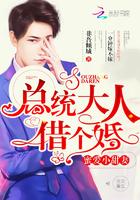 总统大人请离婚