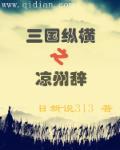 三国之纵横凉州辞精校