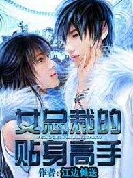 女总裁的贴身高手电视剧在线观看