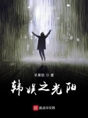 韩娱之电光