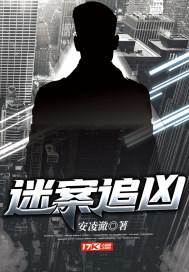 迷案追凶第一季