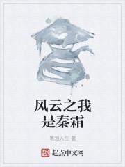 风云秦霜