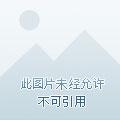 带着星际到末世的