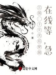 穿越1630之崛起南美 孤独麦客