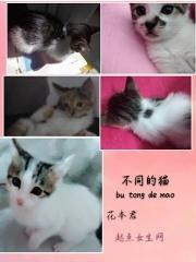 错嫁替婚总裁免费漫画下拉式