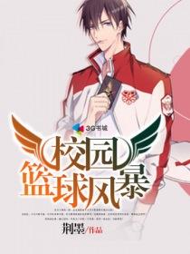 他比我懂宝可梦免费