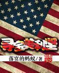 寻宝美利坚 寻宝美利坚