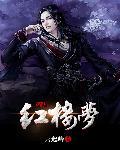 穿越红楼梦 穿越红楼梦